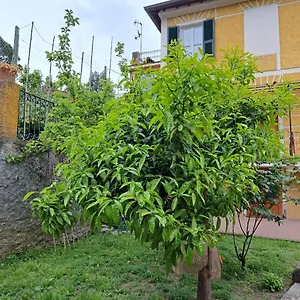 affittacamere-antonella.hotelitalianriviera.com/